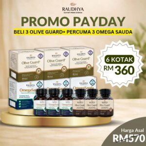 PAKEJ PROMO PAYDAY